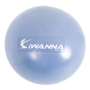 아이워너 미니 짐볼 25cm 라벤더스포츠공 운동 다용도볼 스트레칭용볼 근력용볼 코어용볼 휴대용볼 헬스용