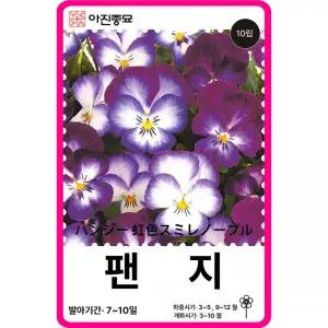 아진종묘 팬지 꽃 씨앗 노블 / 10립 F1교배종 종자 비올라 꽃씨 몰 고급 종자