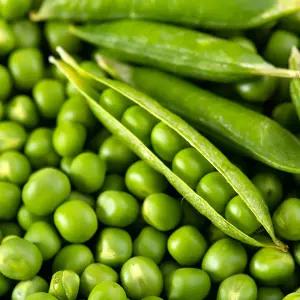 국내산 완두콩 1kg 2kg /GM