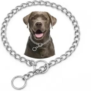 초크 도그 체인 목걸이 스테인리스 스틸 실버 XXS 슬립 링크 트레이닝 헤비 듀티 초커 칼라 마팅게일