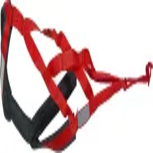 니와 엑스백 레이싱 하네스 - XX-대형 빨간색 날씬하고 긴 몸을 가진 반려견을 위한 고성능 반사 기어