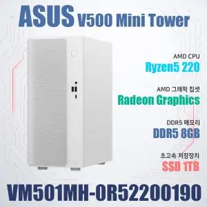 ASUS VM501MH-0R52200190 (8GB, M.2 1TB)/ASUS V500 미니타워