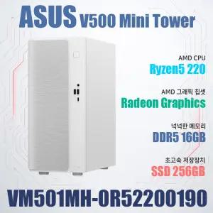 ASUS VM501MH-0R52200190 Win11Home (16GB, M.2 256GB)/ASUS V500 미니타워