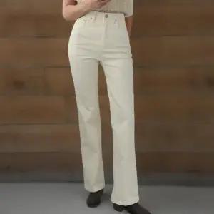 [신상오픈런]여성 겨울 스판 면 일자핏 부츠컷 청바지 데일리 패션 (44092230)