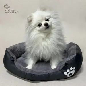 강아지 사각 방석 고양이 쿠션 극세사 애견 반려견 담요 이불