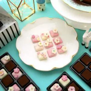 I G6J8E8X0 벚꽃블로썸 파베 초콜릿 만들기 세트 (메이크마인)