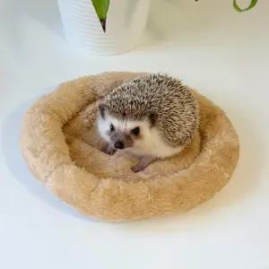 소형 애완동물 햄스터 고슴도치 포그니 방석 20cm
