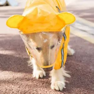 애견 방수 비옷 산책용 강아지 레인코트 가벼운 우비