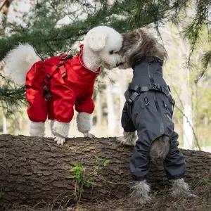 하네스가 달린 개 비옷 작은 개용 방수 재킷 조절 가능한 반사 레인 작업복 4 다리 애완 동물