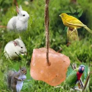 염소 미네랄블럭 말 젖소 A형 소금 영양제 5-10CM 소 송아지 축사 블록/2.5kg