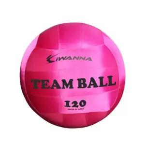 가정헬스용품 아이워나 팀볼 120cm