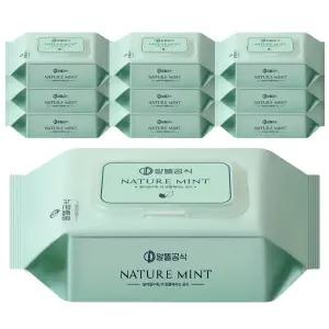 알뜰공식 네이처 민트 물티슈 캡형 100매 10개 대용량물티슈 아기물티슈 엠보싱물티슈 50gsm