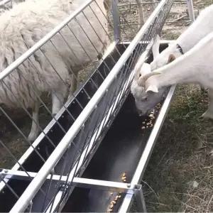 여물통 염소 먹이통 급여기 건초 가축 사료통 목장 농장