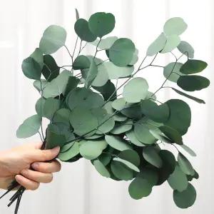 Jtoder 보존 건조 유칼립투스 줄기 녹색 잎 꽃병 충전재용 은화 410개 화환 결혼식 홈 농가 파티 장식용