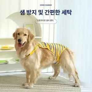 반려견 배변 속옷 리트리버 암컷 기저귀 스트라이프 투톤