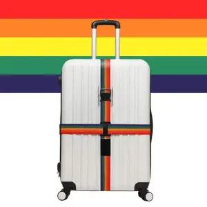 캐리어벨트 십자형 투웨이 캐리어 러기지 고정 벨트