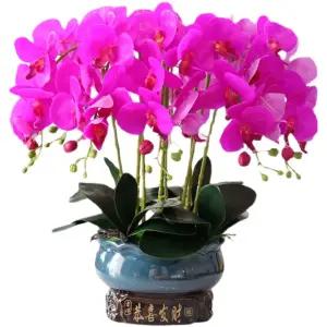 호접란 서양란 인테리어 개업선물 사무실 조화 화분 장식