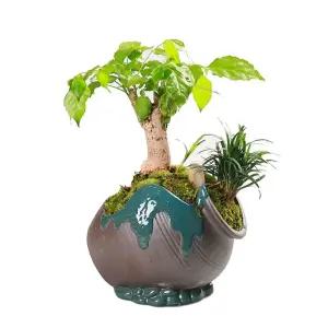 조화나무 소나무 식물 사각형 장식분재 암석 개업 +인공 화분 사무실 밀란