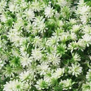 인조잔디(50x50cm) (화이트그린) 정원인테리어 인조잔디 벽장식 인공잔디