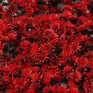 (레드) 인조잔디 벽장식 인공잔디 인조잔디(50x50cm) 정원인테리어