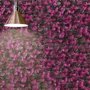 라벤더 벽 그린월 인테리어 조경잔디 인조잔디 벽잔디 천장