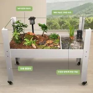 유리 거북이 수족관 조명 투명 물고기 투명한 조경 오픈형