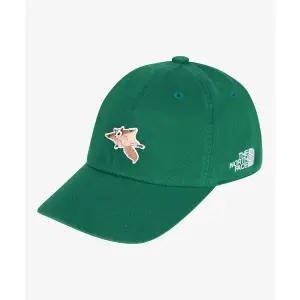 매장정품 노스페이스 THE NORTH FACE KIDS 키즈 로고 볼캡 와펜 NE3CS00T_GEB NE3CS00TGEB 684233