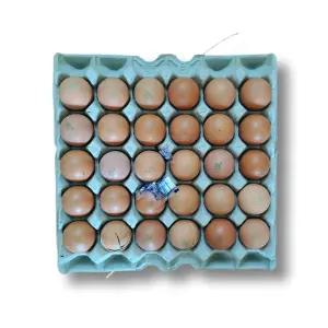 시골아빠 훈제 맥반석 구운계란 중란 30구