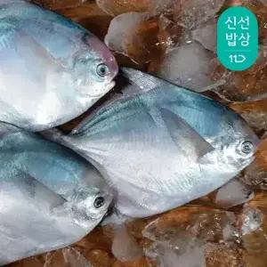 조림/찌개용 급냉 병어 350g X 3팩 총1kg / 6-12미