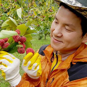 -2025년햇열매/무농약[밀양꾸지뽕농장]꾸지뽕열매3kg,5kg