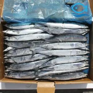 바다해 도매 꽁치 1번 업소용 냉동 꽁치 구이 찜 찌개 생선구이
