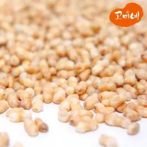 [롯데백화점]고미네 볶은 현미100g 5팩