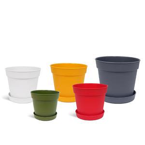 담따 비비드 받침세트 플라스틱 인테리어 칼라 분갈이 체험학습 화분