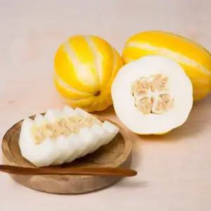 가정용 성주 참외 4.5kg 꼬마소과