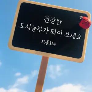 식물이름팻말 (2개) 모종 이름표 고추 토마토 꽃 딸기