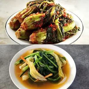 갤러리아 [3대째 손맛] 여수 돌산 갓김치 3kg + 열무물김치 2kg