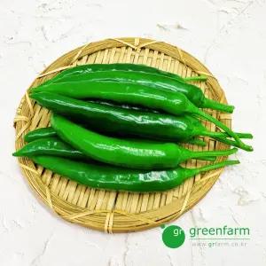 오이맛고추 오이고추(300g)