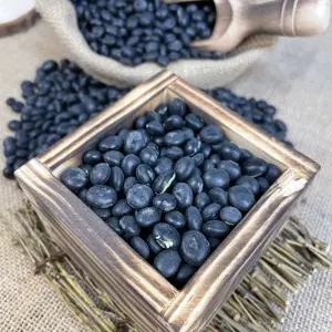 국산 유기농 서리태 속청 검은콩 쥐눈이콩 2kg