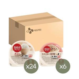 햇반 큰공기 300g x24개+잡곡밥 210g x6개