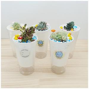 [라온에듀케이션] 재활용품을 이용한 다육이 테라리움(손글씨쓰기) 5인