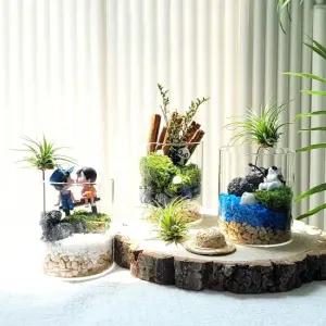 테라리움 DIY 키트 만들기 힐링 식물 데스크테리어