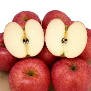경북 부사 사과 빨간 사과 가정용 / 대과