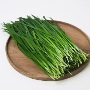 국내산 부추 (특) 4kg 업소용