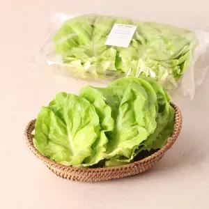 부드러운 쌈용 버터헤드 상추 100g