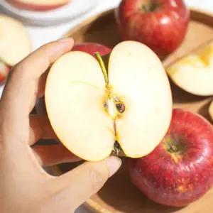 아침 간편 세척 사과 소과 3kg(13-22과 내외)