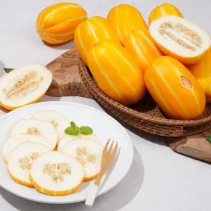 당도높은 성주 가정용 참외 2kg 소과 10-14과 꿀참외