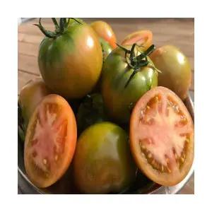 국내산 품평회 수상 대저토마토특품 짭짤이 산지직송 짭짜리 일반(S-2S)과2kg