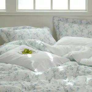 [26 SS신상]블루밍 텐셀 모달 100 옥수수솜 차렵이불 SS Q K EK