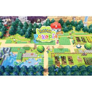 포코피아 표준 디지털 스위치 코드