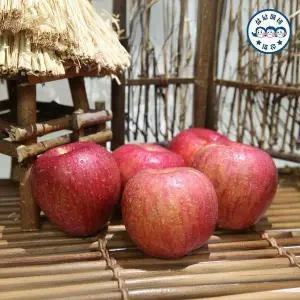 [신세계라이브쇼핑][삼남매네]경북 산지직송 미얀마 부사 가정용 사과 5kg [20-30과내]